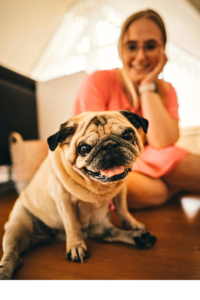low maintenance small dog breeds for first-time owners cute Pug sitting calmly