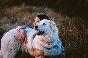 “Dog spending peaceful time with owner outdoors, emotional bond between family pet and human companion”